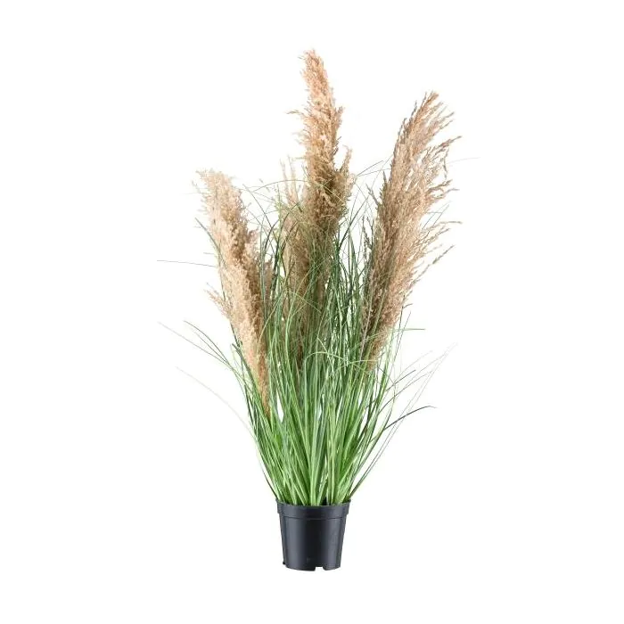 Deko Gras Schilf DEFINA mit Rispen, braun, 75cm