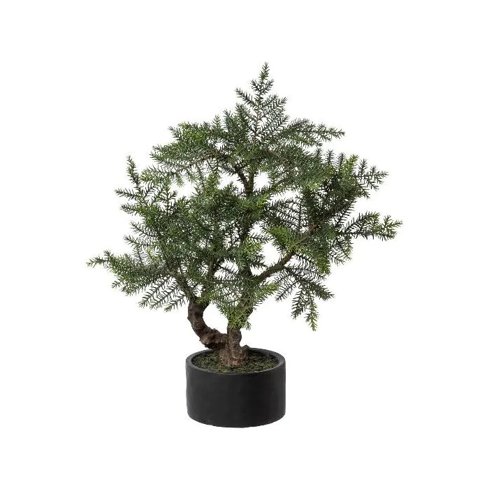 Kunstbaum Bonsai-Zimmertanne LONSA im Dekotopf, 75cm