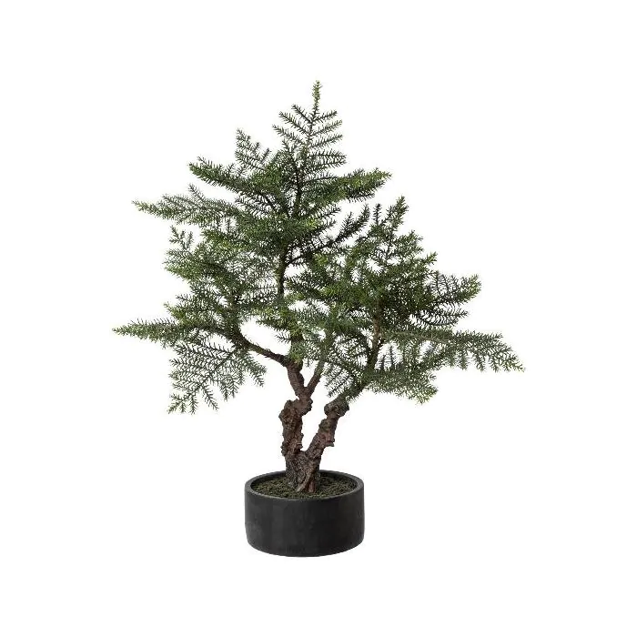 bambus wschekorb aldi Bambus Wschekorb Curly-Round