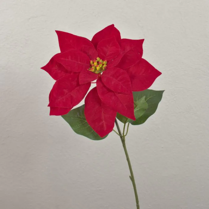 Samt Poinsettia knstlich LIBASSE, rot, 50cm, 23cm