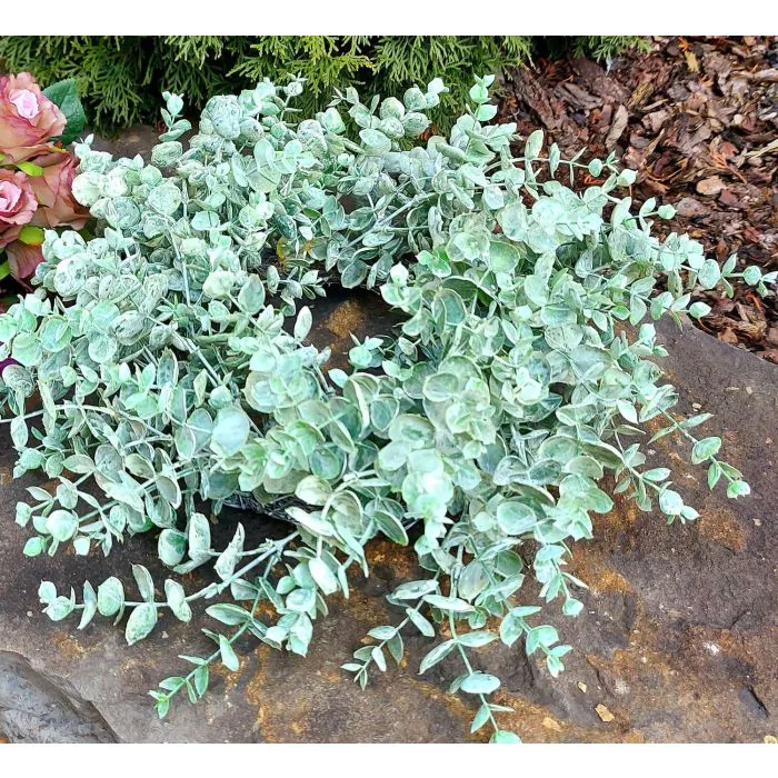 blumenkasten als sichtschutz XXL Sichtschutz Pflanzkasten 'Millennium Fence' in Braun (3 Stck)  Kreher  Technik