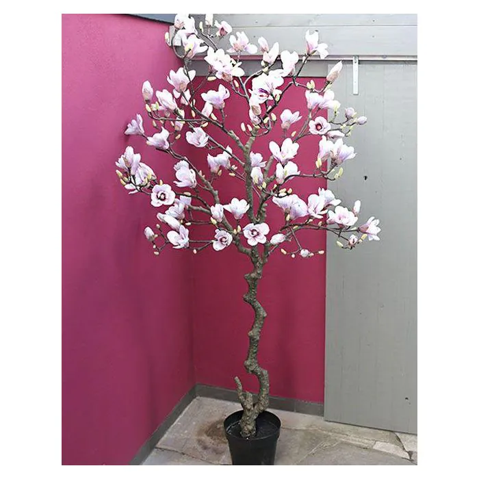 Magnolienbaum knstlich TIAGO, wei-rosa, 210cm