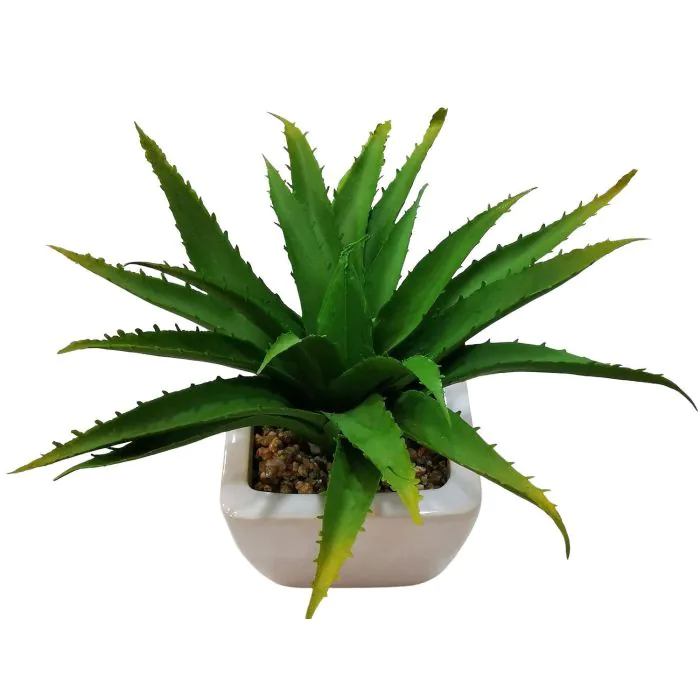Deko Aloe Vera KATNISS, Keramiktopf, grn, 19cm