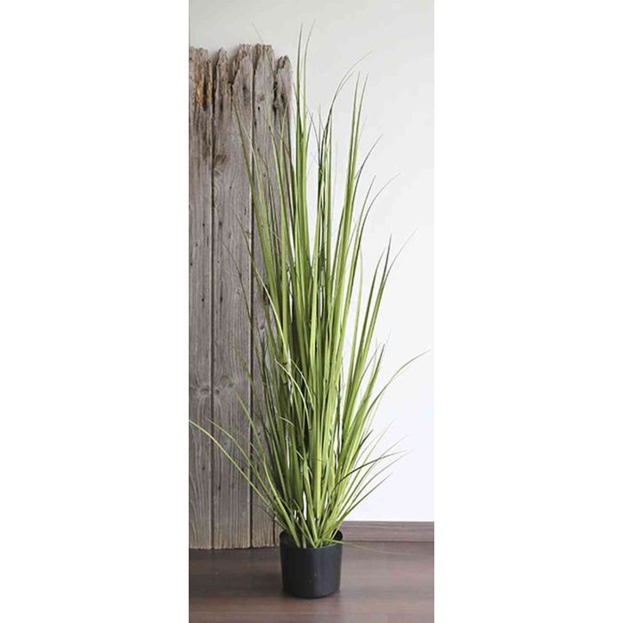 action platzset Tischsets Stil:Champagnerglas