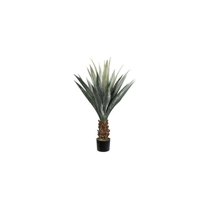 Deko Sukkulente Agave furcraea gigantea CLURT, grün-grau, 100cm