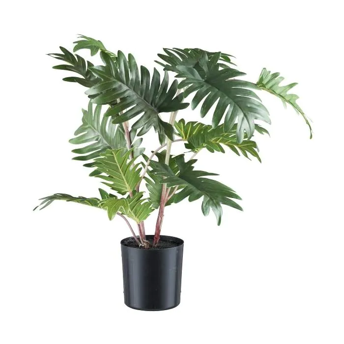 Plastikpflanze Philodendron Selloum WELKA, 50cm