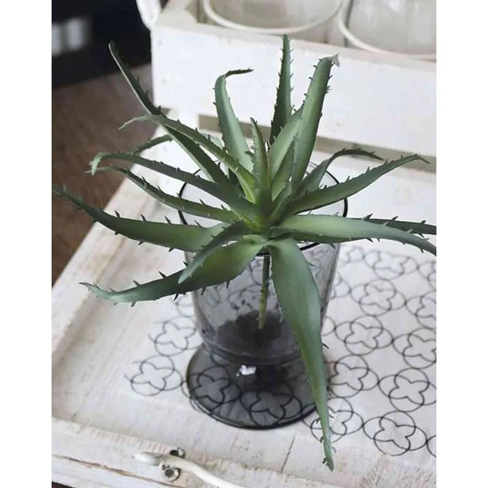 Plastik Aloe Vera WHITNEY, Steckstab, dunkelgrn, 18cm