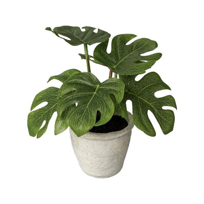 Kunst Philodendron monstera deliciosa TERSU, Zementtopf, 20cm