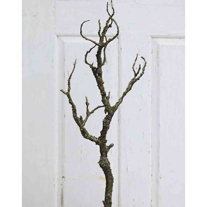 Knstlicher Pflaumenbaum Ast RICHIE mit Moos, braun, 65cm