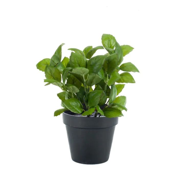 Kunst Basilikum LUCANO, grn, 25cm, 20cm