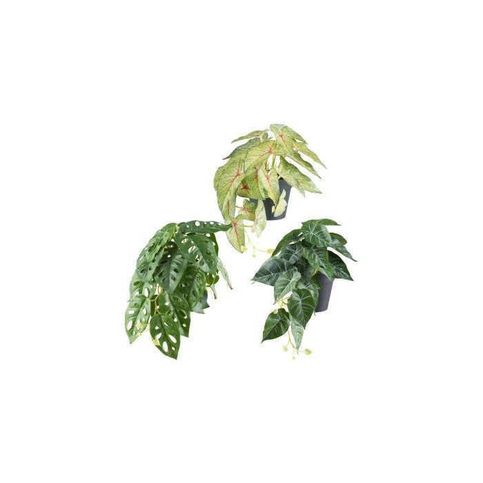 Kunstpflanzen Mix hängend REFIS, Calathea Ornata, Adanson-Monstera, Caladium, 3 Stück, Dekotopf, grün-bunt, 30cm, Ø20cm