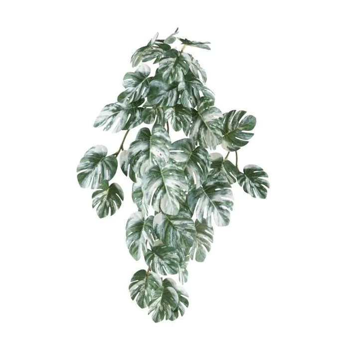 Dekohnger Philodendron monstera deliciosa variegata TRANE, Steckstab, grn- wei, 50cm