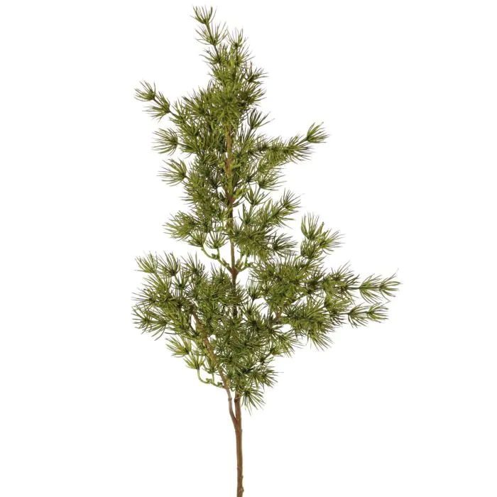 Knstlicher Asparagus umbellatus Zweig DIKERNO, grn, 75cm