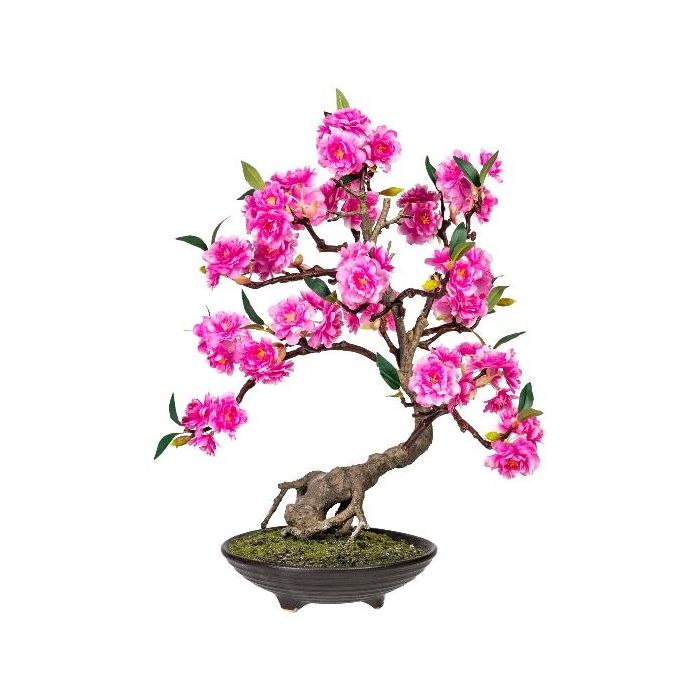 Deko Baum Bonsai Zierkirsche ZUNIL in Zementschale, pink, 50cm