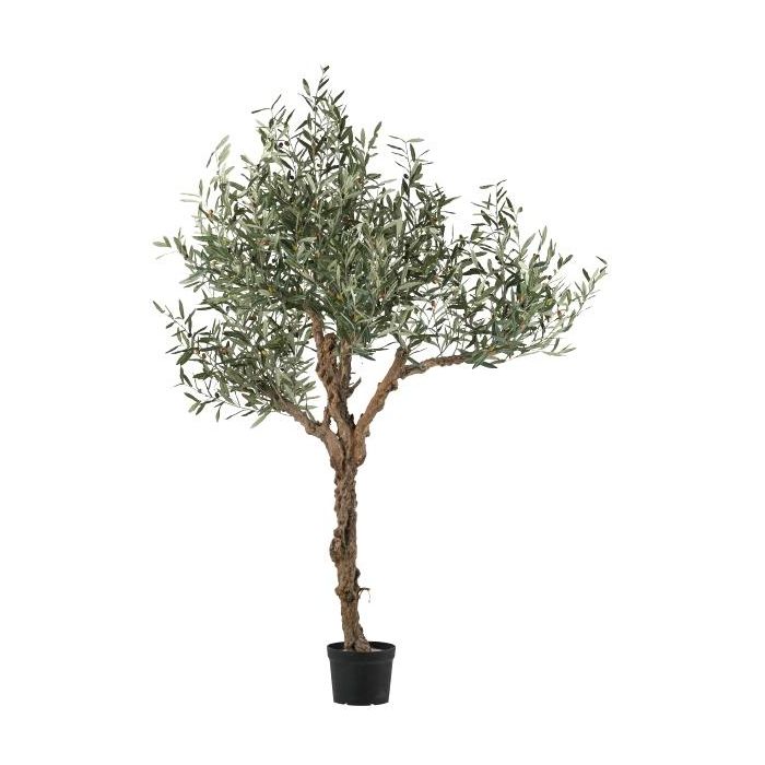 Olivenbaum knstlich LENABAS, Naturstamm, Frchte, 180cm