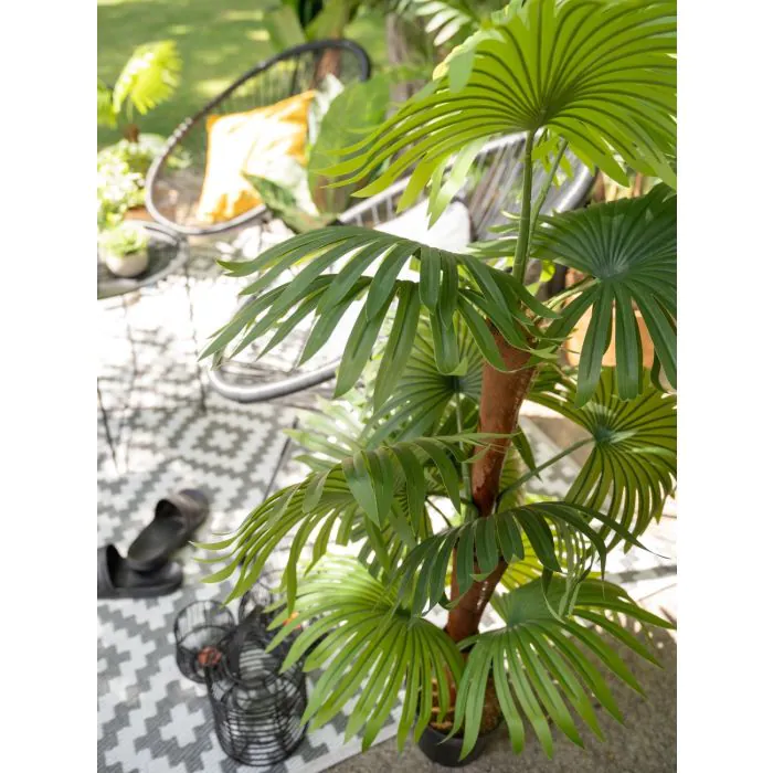 Unechte Palme Livistona rotundifolia Trio GHADA, 165cm