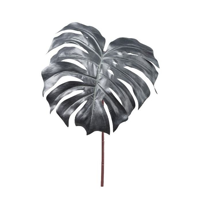 philodendron birkin variegation Philodendron 'Birkin' Aurea Variegated (wk22-A) – Rare Plant Fairy main image 1