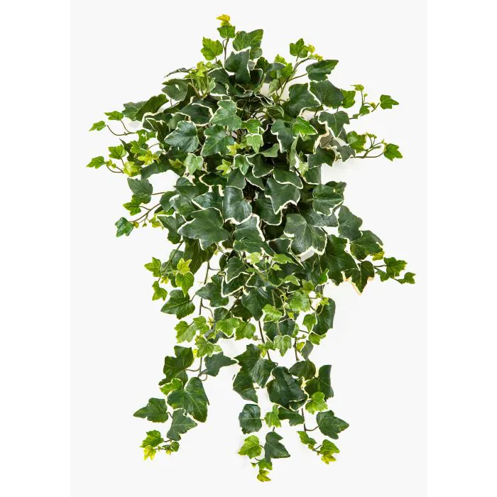 Knstliche Efeuranke LINNEO auf Steckstab, crossdoor, grn-wei, 65cm