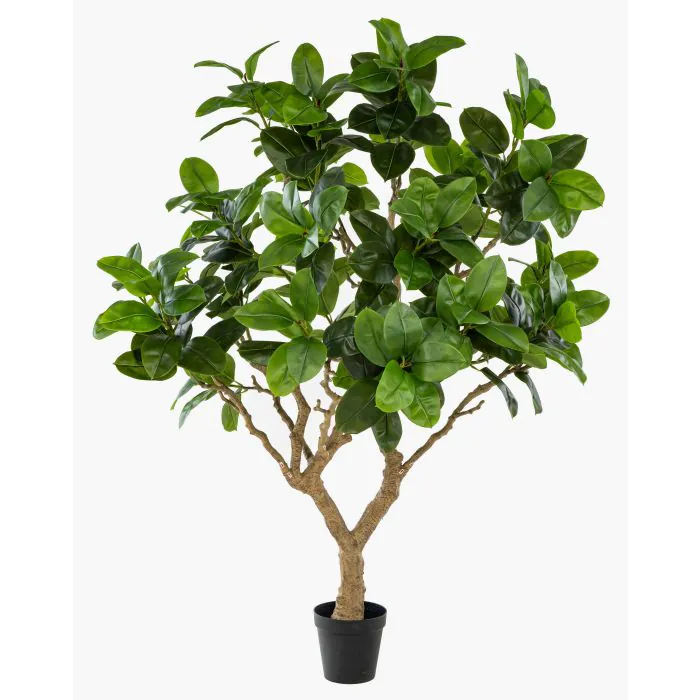 Knstlicher Gummibaum BAKTIN, Kunststamm, Dekotopf, grn, 240cm