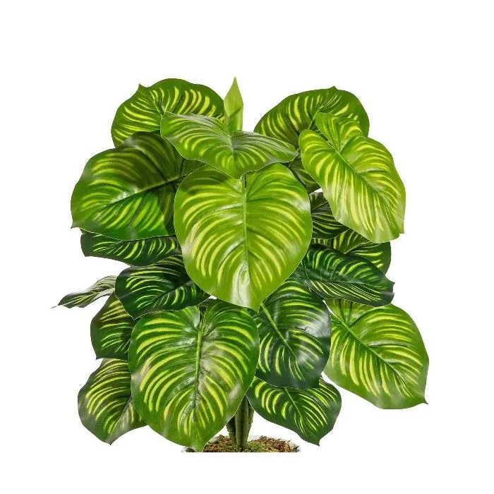 Fake Pflanze Calathea Orbifolia BLAHEN, Steckstab, grün, 50cm