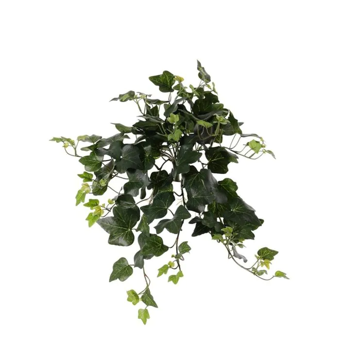 Knstlicher Efeu Hnger ARJANA, Steckstab, crossdoor, grn, 50cm