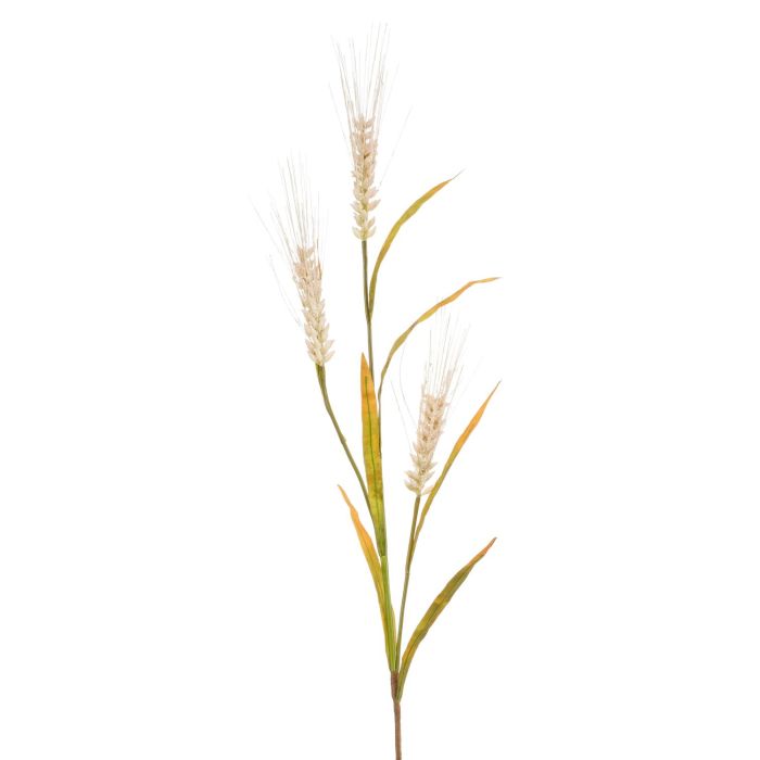 eukalyptus blumenkasten Eukalyptus Trockenblumenstrauß Farbtuper Mix – DekoPanda main image 0