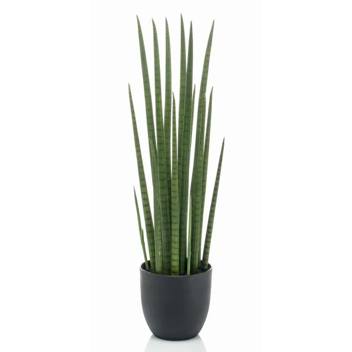 Sansevieria Cylindrica Kunstpflanze KICHIRO im Dekotopf, grn, 70cm