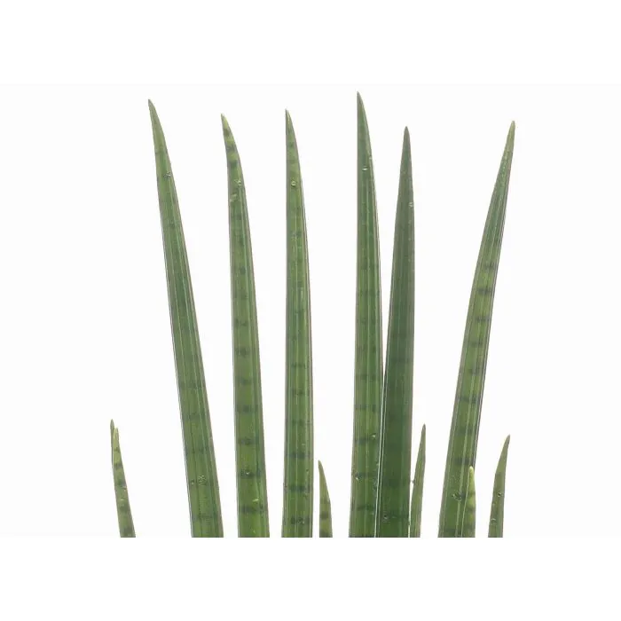 Sansevieria Cylindrica Kunstpflanze KICHIRO im Dekotopf, grn, 70cm