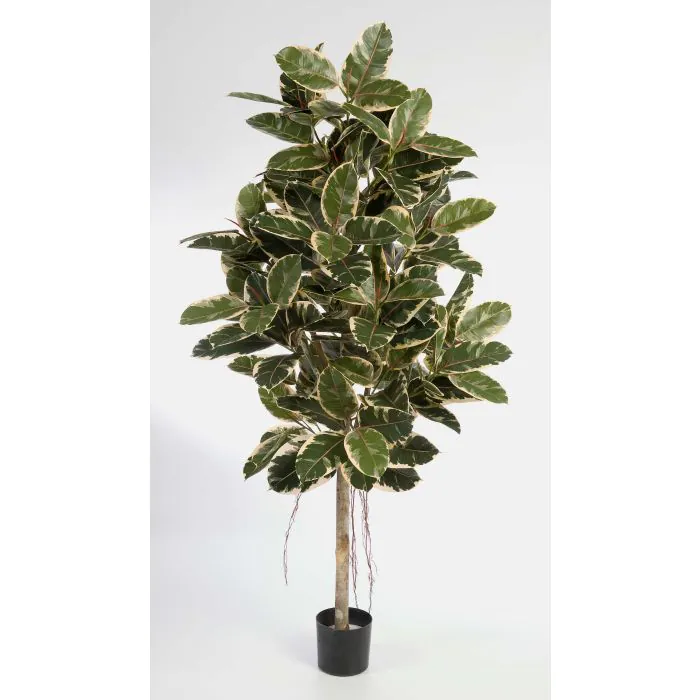 Kunstpflanze Gummibaum DEVI, Naturstamm, grn-wei, 140cm