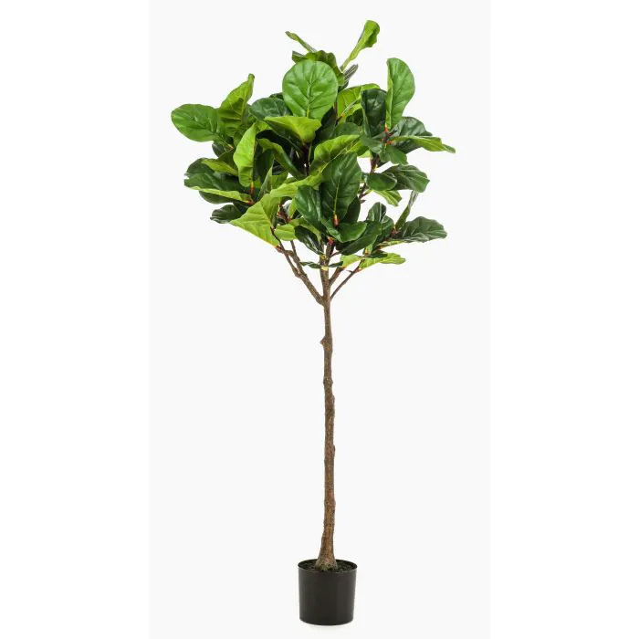kaktus preis Kaktus San Pedro Künstlich - Künstliche Pflanzen main image 0