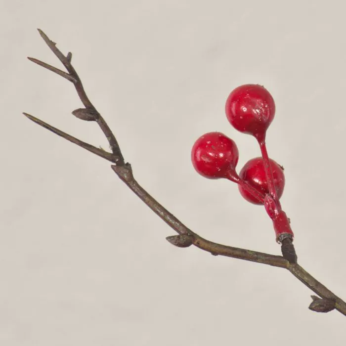 Scheinbeere Zweig knstlich LEERDIK mit Frchten, rot, 115cm
