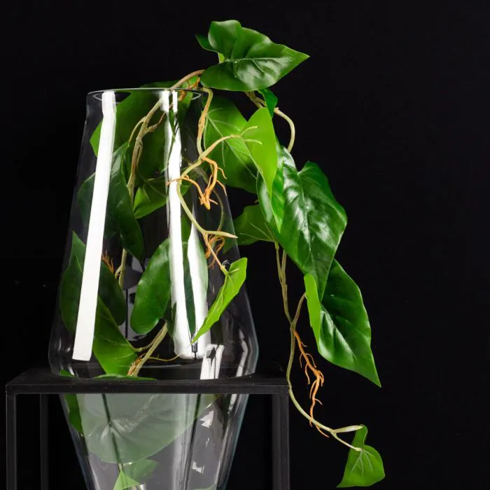 zz plant ikea ZZ Plant (Zamioculcas Plant) | Buy online in UAE