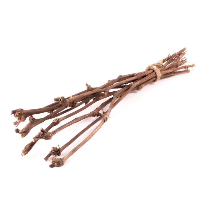 Weinreben Zweige Bund RAGGA, 10 Stück, natur, 60cm