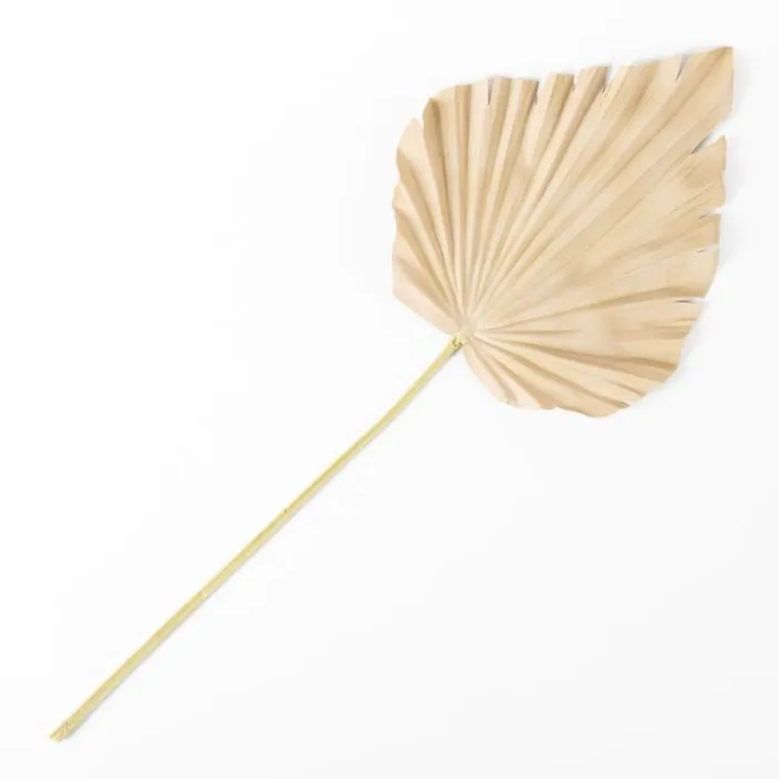 Deko Palmwedel Washingtonia RUNING, beige-gelb, 60cm