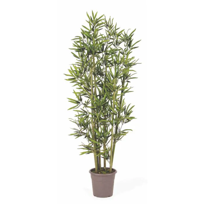 Knstlicher Bambus KUSJA, Natur Bambusstbe, crossdoor, 225cm - Made in  Italy