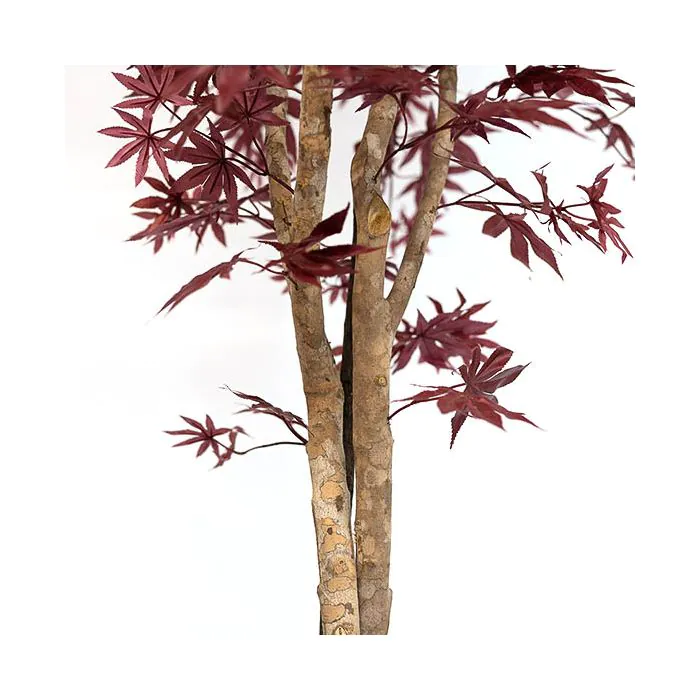 Deko Japanischer Ahorn GORDJUSCHA, Echtstämme, dunkelrot, 200cm