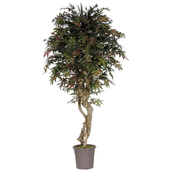 Knstlicher Japanischer Ahorn KYRYLO, Echtstamm, grn-rot, 175cm - Made in  Italy