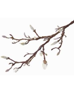 Kunstzweig Magnolie ASANI, weiß, 70cm, Ø1-2cm Kunstzweig Magnolie ASANI, weiß, 70cm, Ø1-2cm