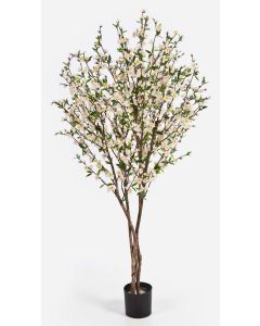 Künstlicher Kirschblütenbaum ZADAR, Echtstämme, Blüten, weiß, 170cm