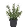 Künstlicher Rosmarin im Topf 20cm, grün