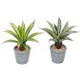 Künstliche Aloe im Topf 20cm, bunt