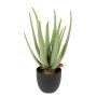 Künstliche Aloe im Topf 38cm, grün