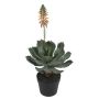 Künstliche Aloe mit Blüte im Topf 61cm Ø 27cm, grün-peach