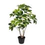 Künstliche Schefflera UV im Topf 63cm, grün-weiß