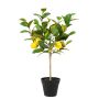 Künstliches Zitronenhochstammbäumchen x 5 im Topf 56cm Zitrone 4,5/6cm, gelb