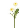 Künstliche Bellis x 2 28cm Blütenkopf Ø 3,5/4cm, elfenbein