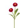 Künstliche Bellis x 2 28cm Blütenkopf Ø 3,5/4cm, cerise