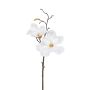 Künstlicher Magnolienzweig x 2 48cm Blütenkopf Ø 8/13cm, weiß