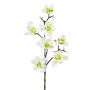 Künstlicher Magnolienzweig x 7 99cm Blütenkopf Ø 10/13cm, elfenbein
