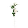 Künstlicher Magnolienzweig x 5 70cm Blütenkopf Ø 6/9cm, elfenbein